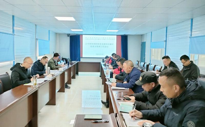 汪輝德一行到鹽源縣龍塘項目調研指導工作